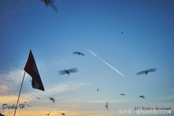 迪拜潮玩如东,迪拜深度游必买纪念品