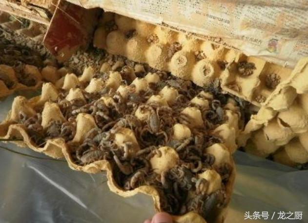 鍐滄皯鍏昏潕鑷村瘜椤圭洰,鍐滄皯鑷村瘜骞村叆鐧句竾