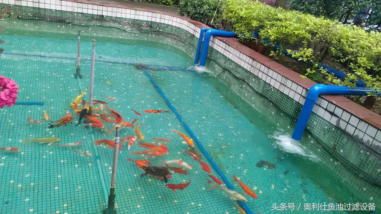 22立方鱼池价格一览表,36平方鱼池建造价格一览表