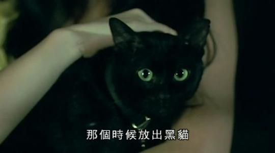 有一部电影叫做见鬼十法,见鬼十法电影