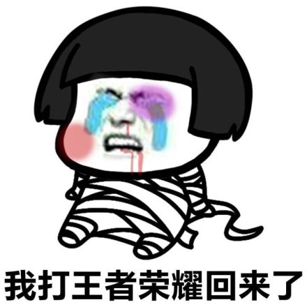 王者荣耀熊猫斗图,熊猫打野斗图