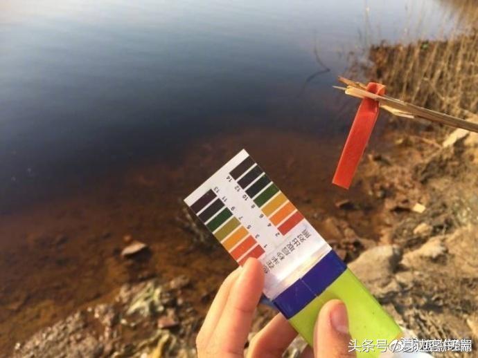 法国大选勒庞与马克龙差距 (法国大选马克龙勒庞民调领先)