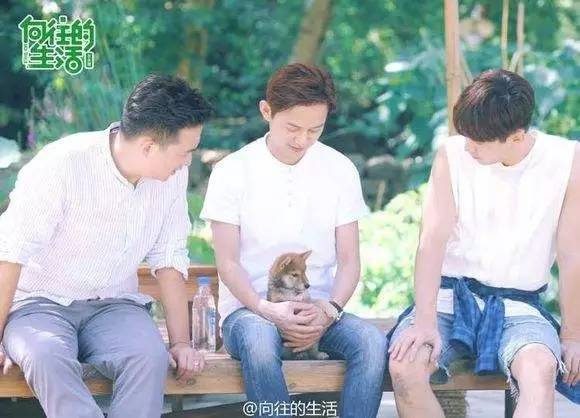 北京cd视觉婚纱摄影工作室摄影师,cd视觉婚纱摄影太原