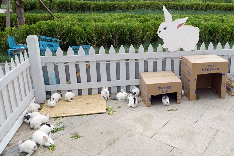 酒店控看过来，京津冀短途旅行亲测