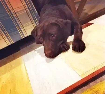 鄂尔多斯魅力旗攻略,鄂尔多斯康巴什旅游景区简介