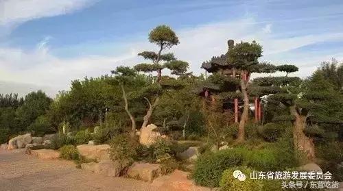 东营五一假期好去处,五一东营去哪里玩比较好