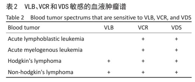 长春治疗淋巴瘤,对恶性淋巴瘤有显著疗效的药
