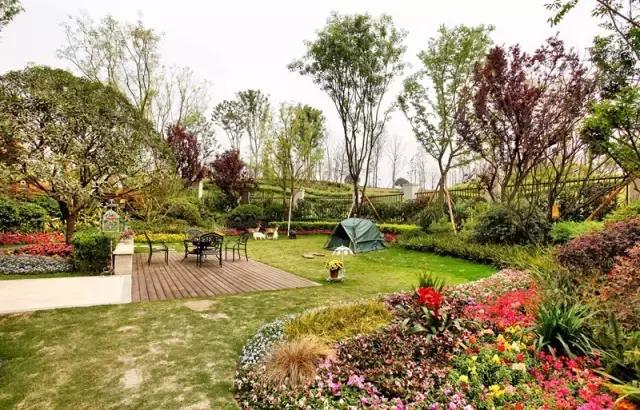 北岛将诗和远方的生活方式带回家，把生活过成电影