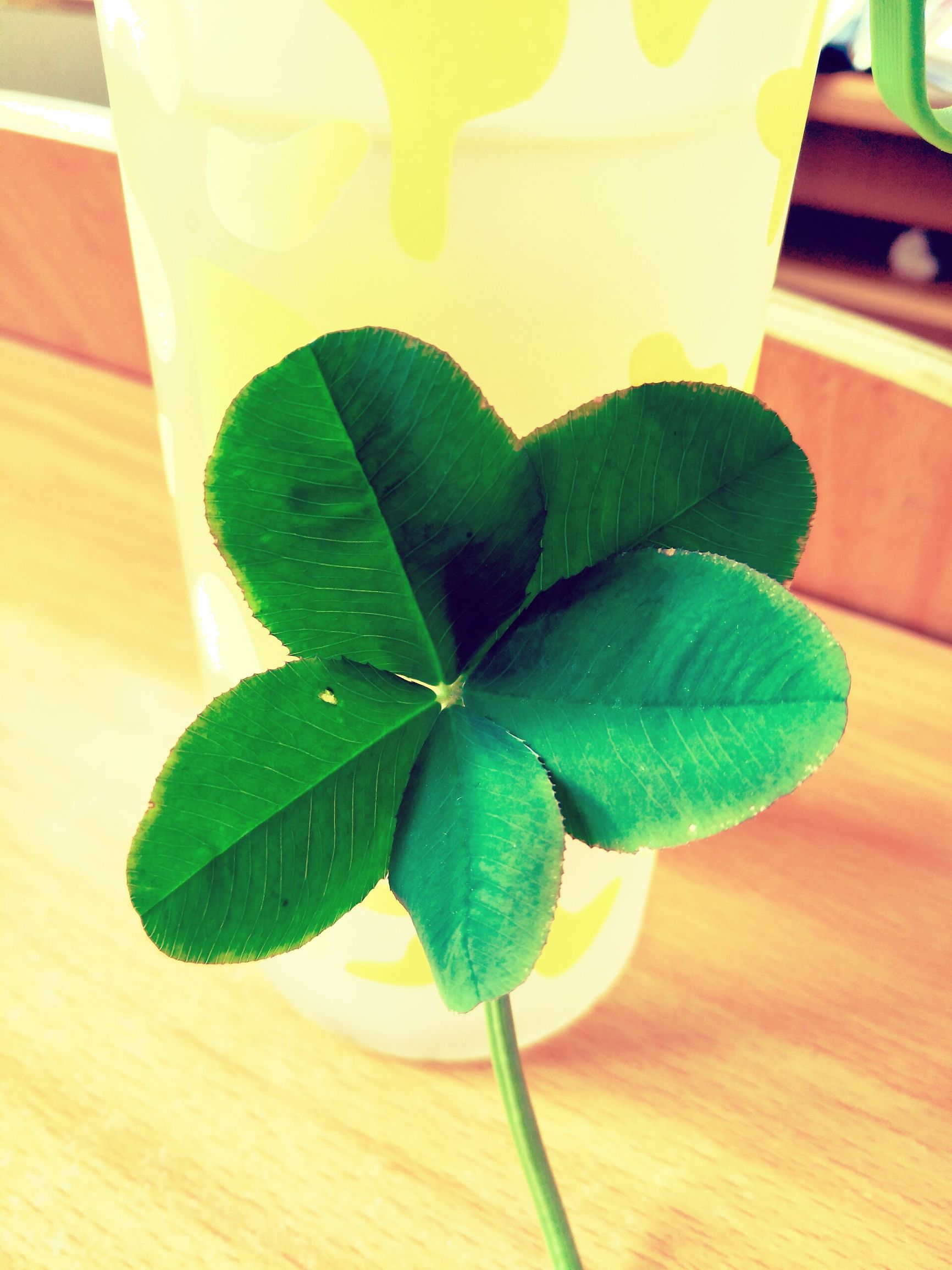 谨以此曲怀念逝去的故人,谨以此致敬这份转瞬即逝的爱情