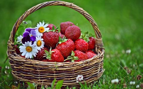 果园如何创收,果园怎么种挣钱