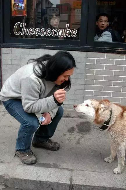 阳朔西街八怪传说,阳朔西街八怪图片
