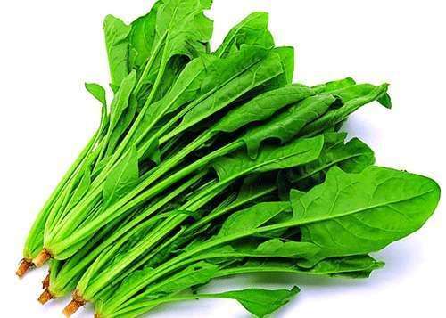 四物汤孕早期孕妇可以喝吗,四胎孕妇注意事项和饮食