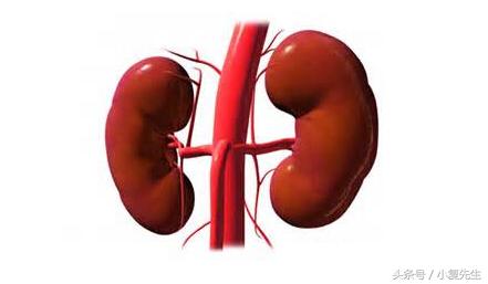 膜性肾病会如何治疗最佳,膜性肾病为什么能彻底治愈