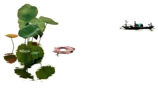 初二物理浮力中考计算题,物理中考浮力题选择题