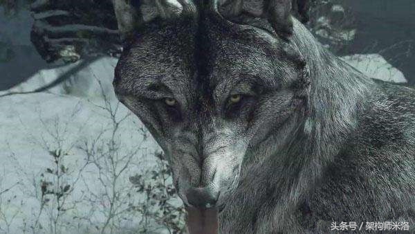 这种小人是恶狼，一定要提高警惕别被坑了都不知道