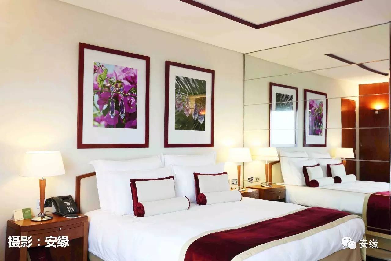 迪拜有钱人家里的豪宅,迪拜有钱人豪宅