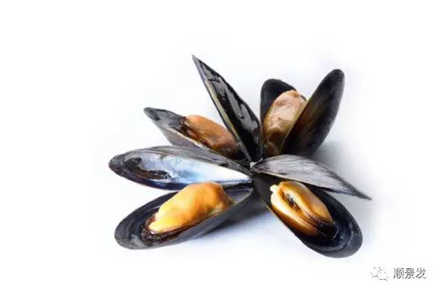 十种常见贝类海鲜图片,贝类海鲜全图