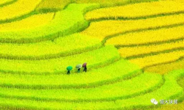 好消息!大方奢香古镇五一要举办大活动了,连嗨7天