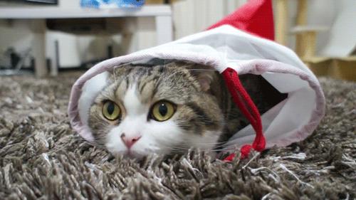 nars遮瑕蜜卖的最好的色是什么,nars遮瑕膏与遮瑕蜜哪个量大