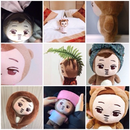 exo分享的视频,exo分享爱丽