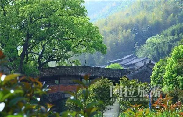 宁波唐诗古道,走过千山万水却走不过你朗读