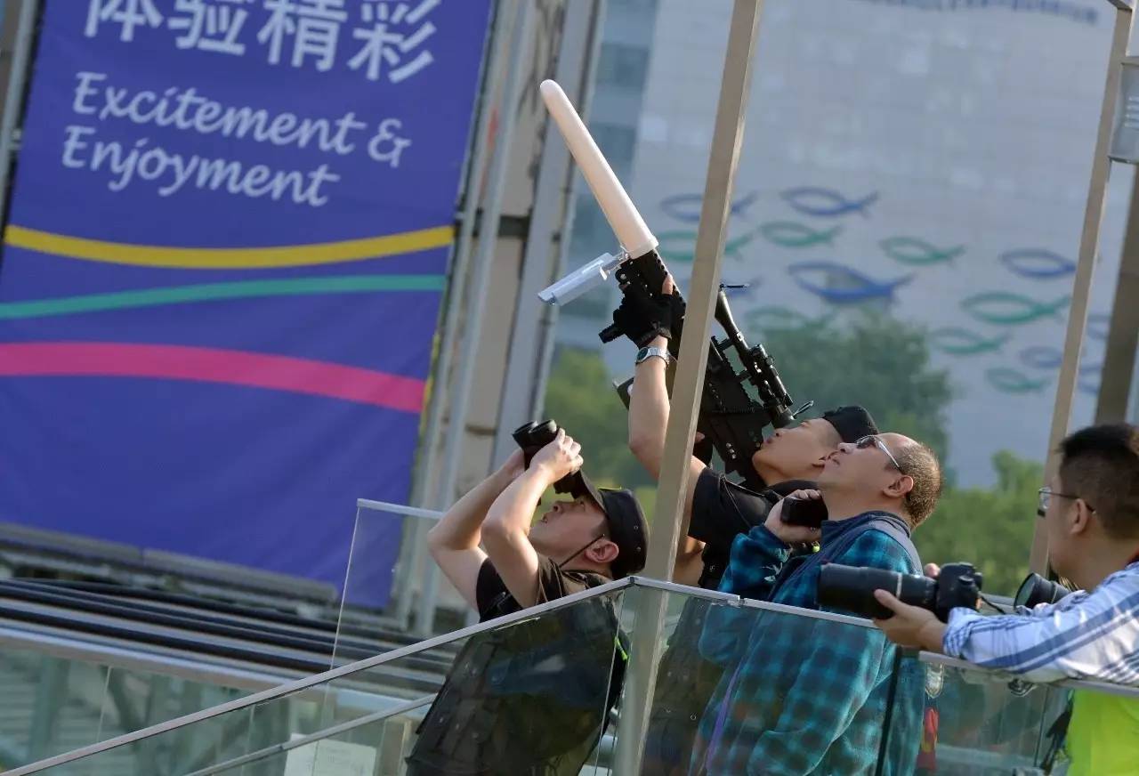 上海浦东风景,浦东沿路风景最美的路