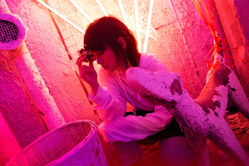 周笔畅解脱原唱完整版,解救强迫症