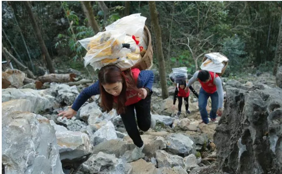 中国小额贷款公司协会会员单位,中国小额贷款公司