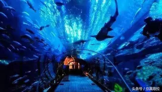 临沂三区九县改成什么了,临沂市三区九县名称