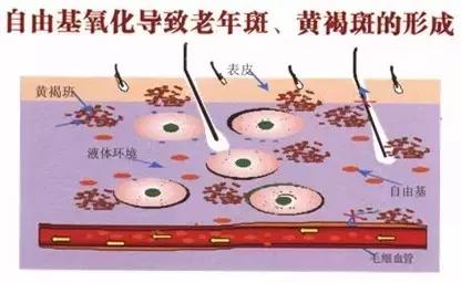 70岁冻龄女人养生秘诀,延缓衰老的冻龄秘诀
