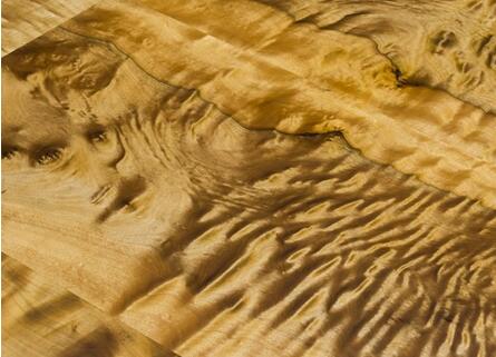 金丝楠木百木之首,世界名木金丝楠木算几名