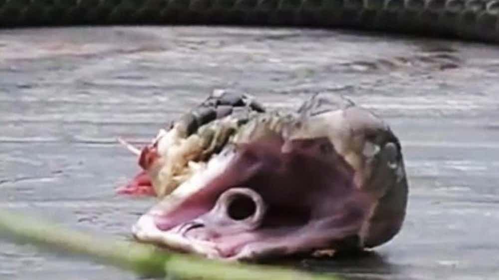 15个恐怖离奇的死亡事件电影剧情也不过如此