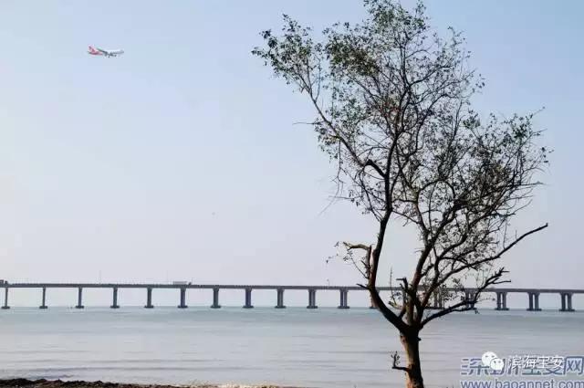 4条社区微巴直达西湾公园，这个“五一”来宝安看海天美景