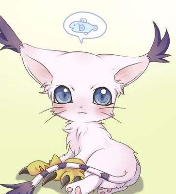 动漫当中的可怕黑猫,动漫恐怖黑猫