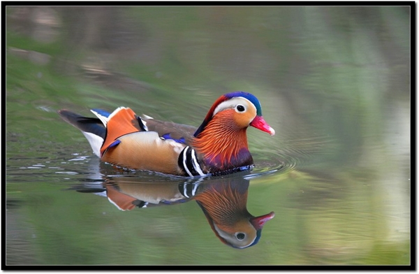 夫妻感情不和谐的三大因素是什么,朋友夫妻感情不和怎么劝