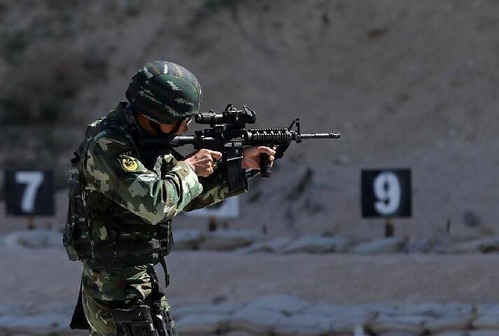 特种兵和武警特战队谁厉害,特种兵特警哪个最厉害