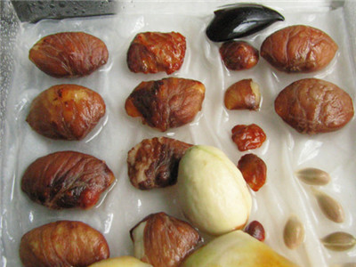 山竹的籽可以种盆栽吗,山竹果核怎么盆栽