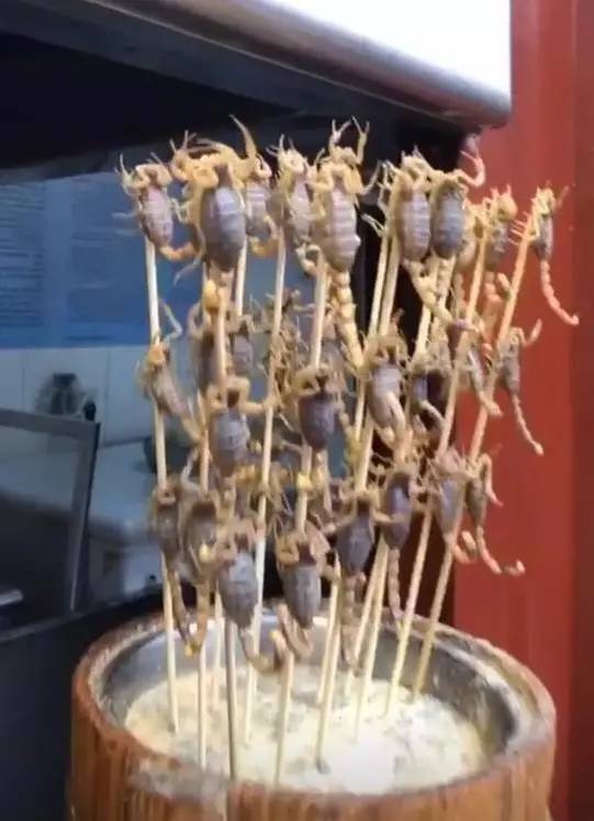 喜子｜帕托是吃货一枚，中超外援都爱吃啥，最后一个你肯定想不到