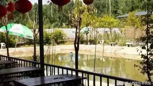 西安周边适合遛娃的度假山庄,西安周边两天一夜度假推荐