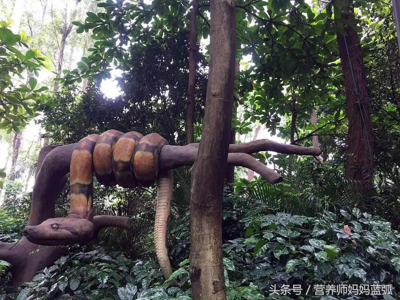 5.1带孩子去长隆推荐,带娃广东长隆欢乐世界游玩攻略