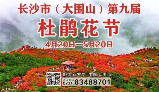 浏阳大围山杜鹃花旅游攻略,湖南浏阳大围山杜鹃花节一日游