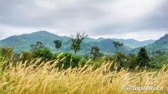 小长假最后一天去哪玩,小长假推荐人少的地方旅游