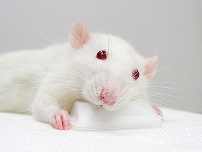 治疗肿瘤靶向药怎么才能作用最好,中西医靶向治疗肿瘤