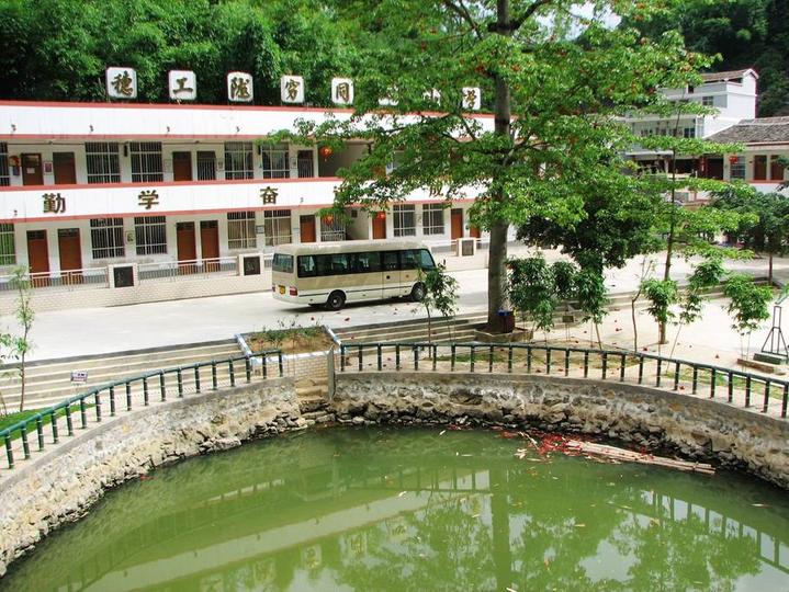 田东大石山区有个别墅村，蔬菜种在屋顶上