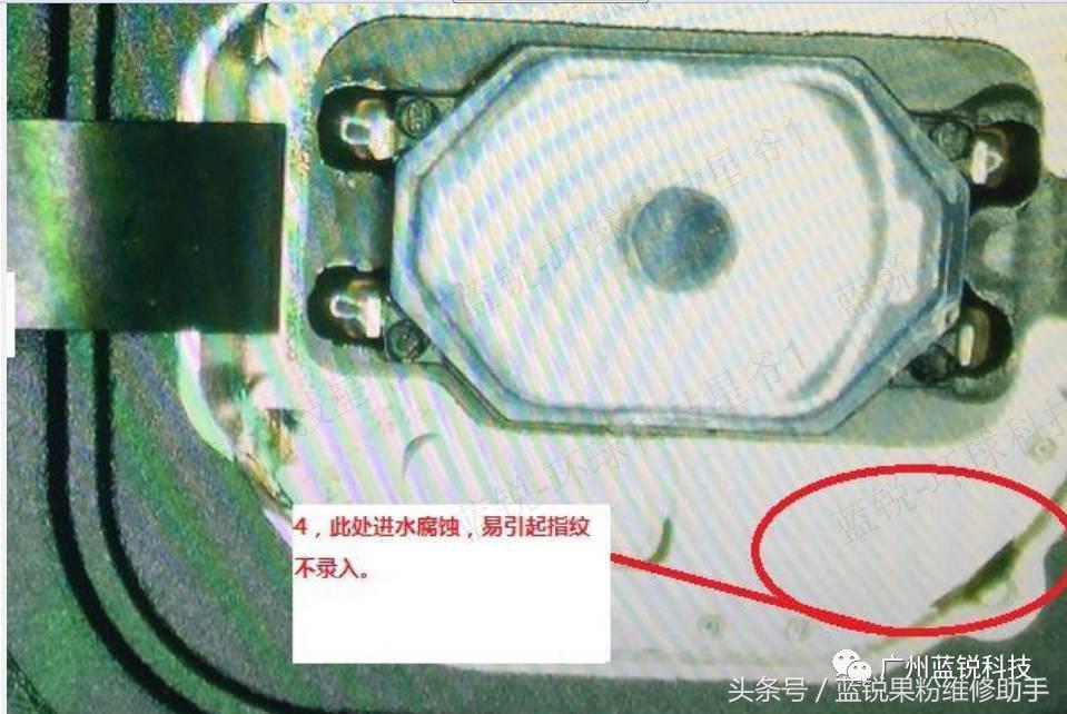 iphone6splus没有指纹怎么修复,iphone6s录不上指纹怎么办
