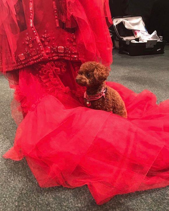 时尚界奥斯卡造型,今年的时尚界年度奥斯卡