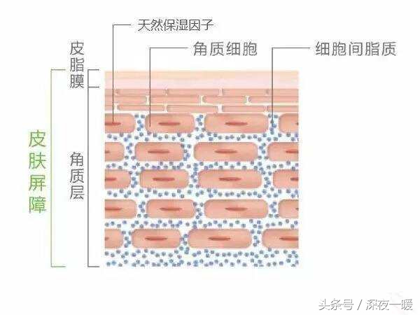 男生护肤品补水保湿,青少年男生补水保湿推荐