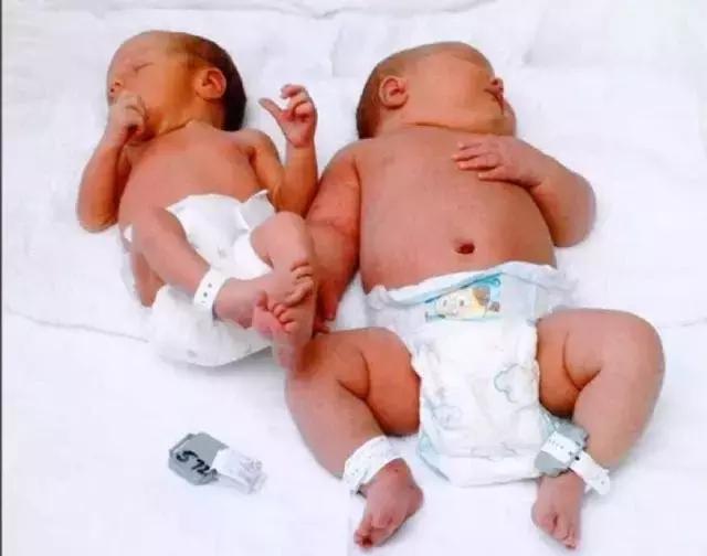 怀孕肉都长在哪里了,怀孕了一般长多少斤