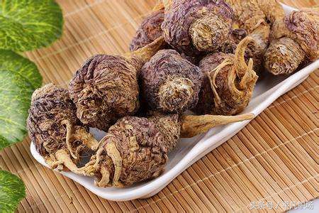 男人吃玛卡对肾有害吗,男人吃玛卡