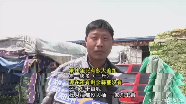 蒜薹5毛钱一斤,蒜薹三十几块钱一斤正常吗